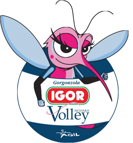 Подробнее о статье Новара