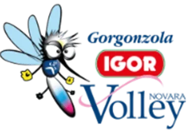 Подробнее о статье Новара