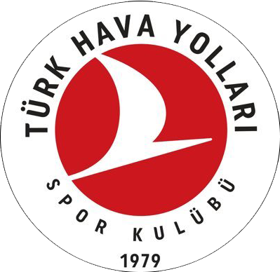 Подробнее о статье Тюрк Хава Йоллари