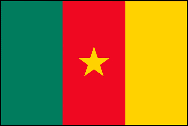 Подробнее о статье Камерун